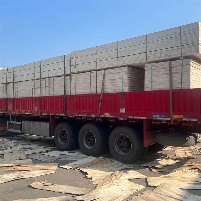 山东滨州惠民县到新疆阿勒泰吉木乃县物流公司，专业物流服务助您成功